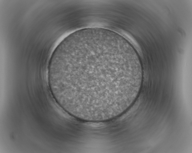 X0000112861340200910021304