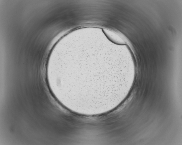 X0000112861341200910021304