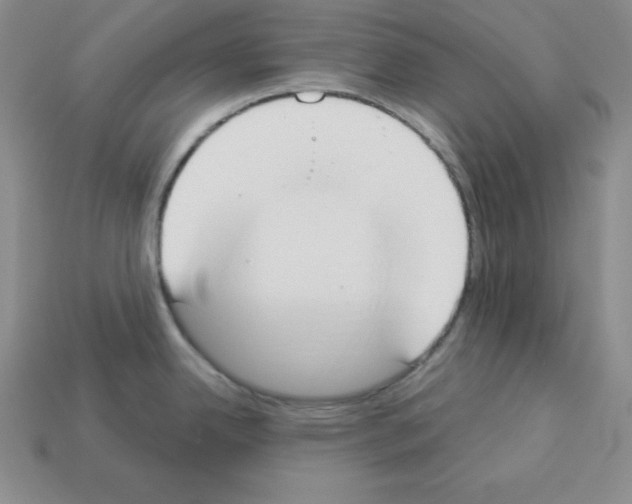 X0000112861342200910021304