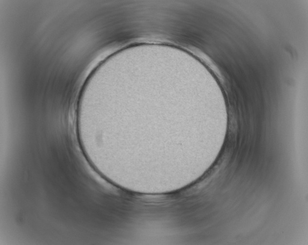 X0000112861343200910021304