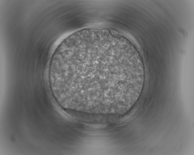 X0000112861344200910021304