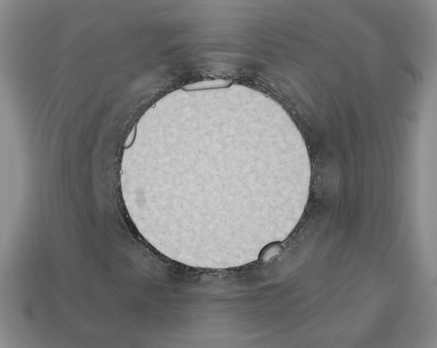 X0000112861345200910021303