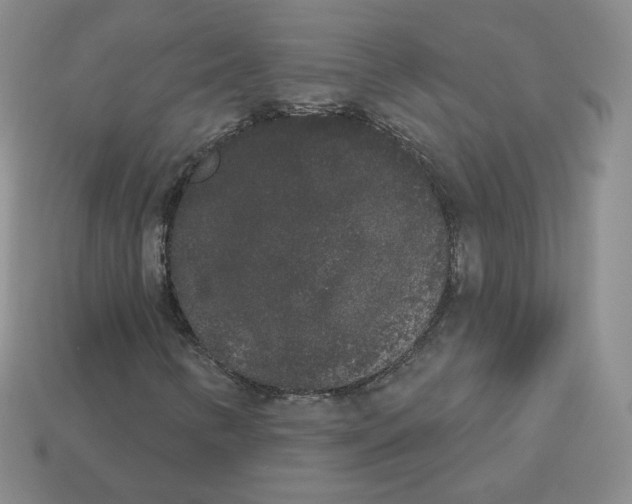 X0000112861346200910021303