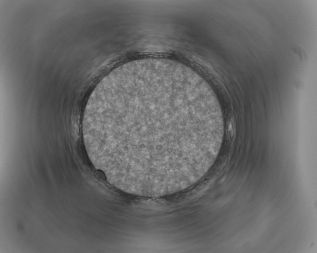 X0000112861348200910021303
