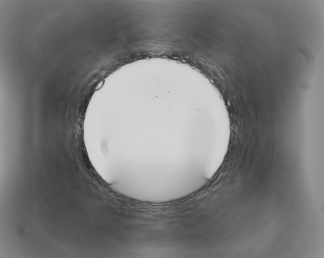 X0000112861349200910021303