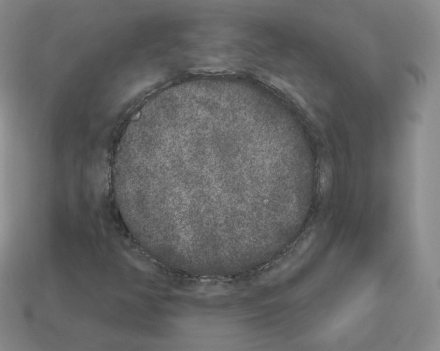 X0000112861350200910021303