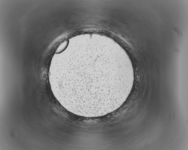 X0000112861351200910021303