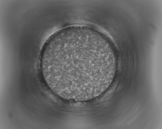 X0000112861352200910021303