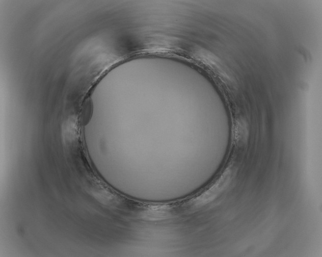 X0000112861353200910021303