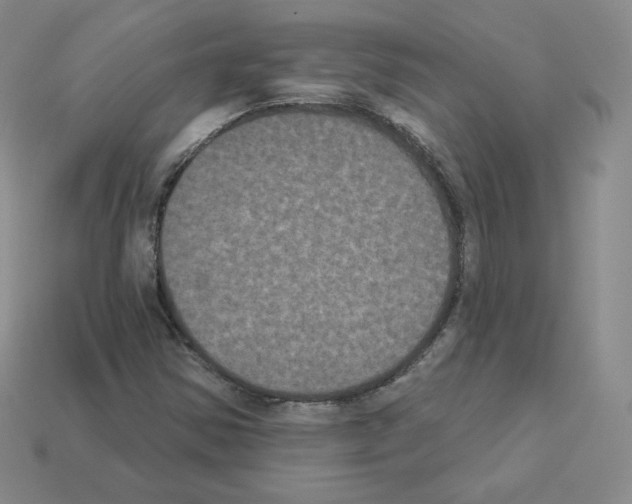 X0000112861354200910021303
