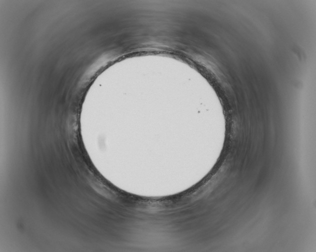 X0000112861355200910021303