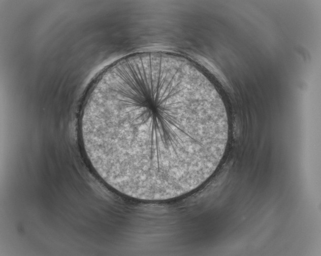 X0000112861356200910021303