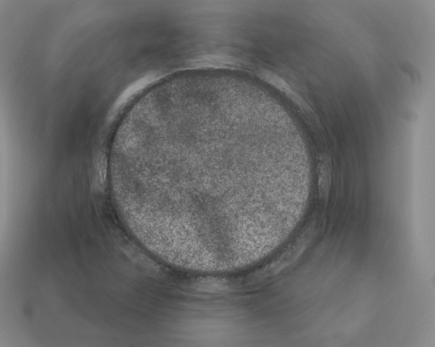 X0000112861358200910021303