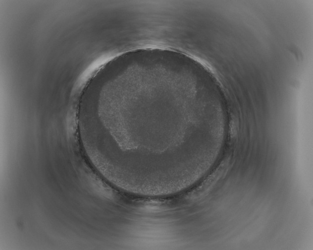 X0000112861359200910021303