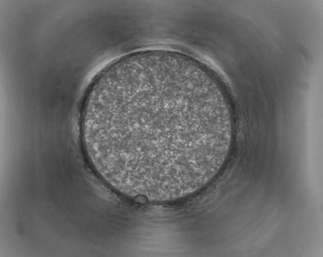 X0000112861360200910021303