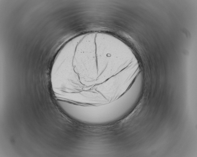 X0000112861361200910021303