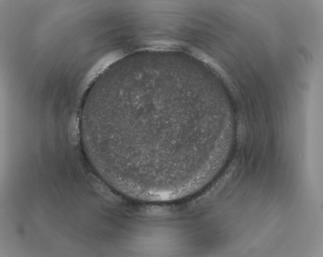 X0000112861362200910021303