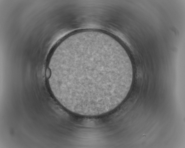 X0000112861364200910021303