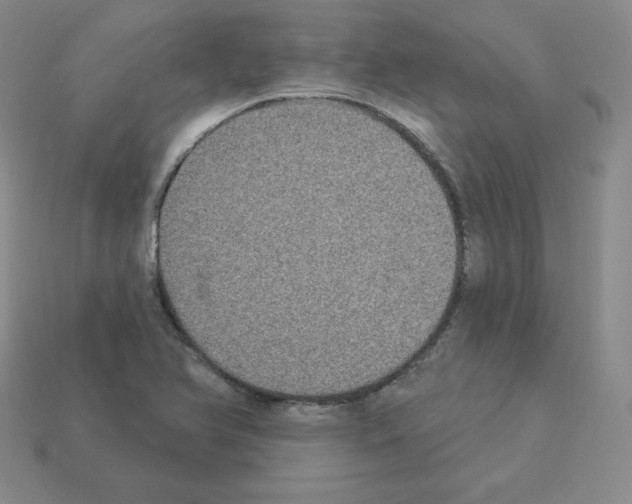 X0000112861366200910021303