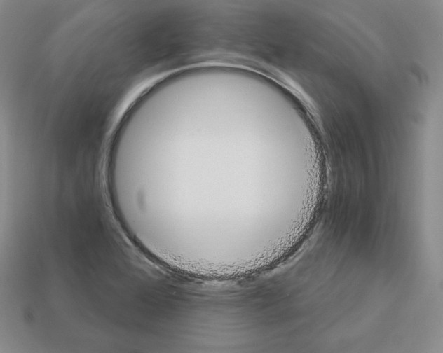 X0000112861368200910021303