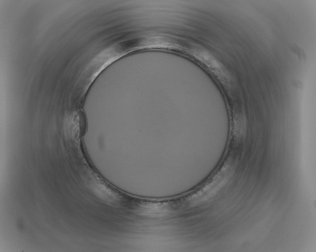 X0000112861369200910021303