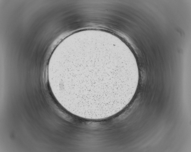 X0000112861371200910021303
