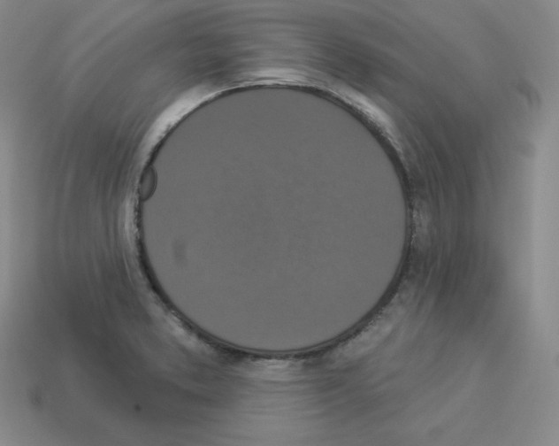 X0000112861373200910021303