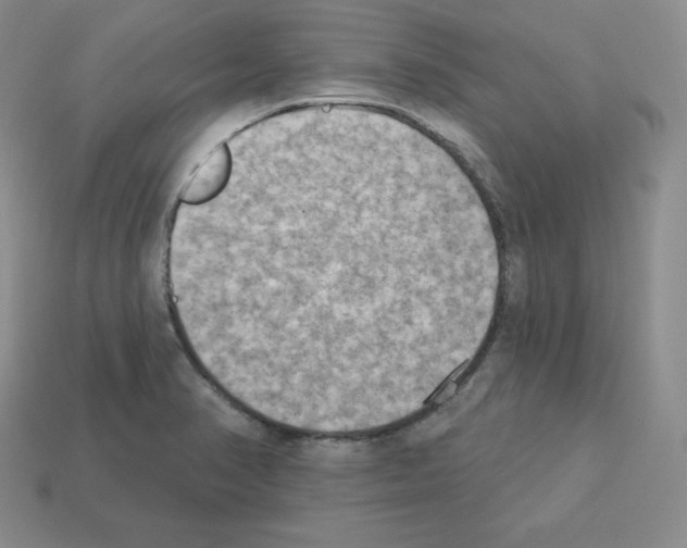 X0000112861374200910021303