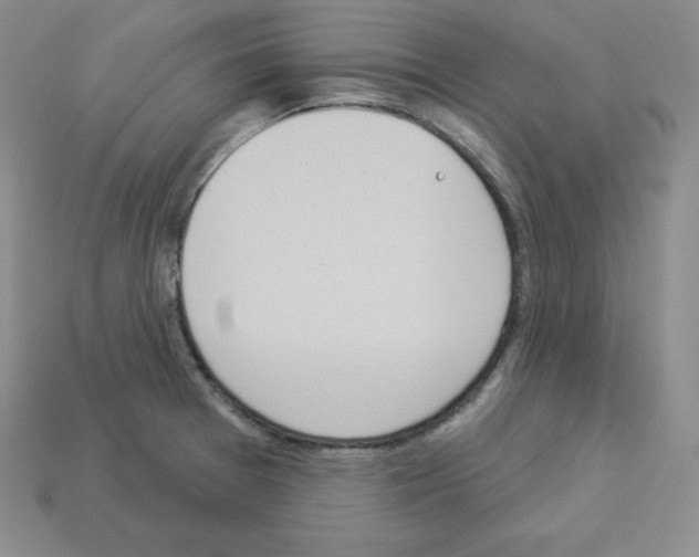 X0000112861377200910021303
