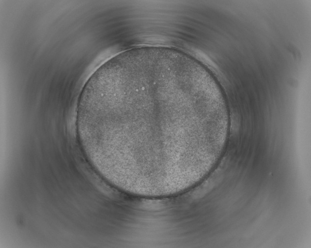 X0000112861378200910021303
