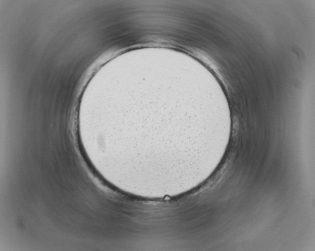 X0000112861379200910021303