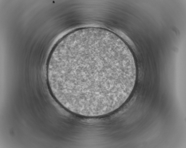 X0000112861380200910021303