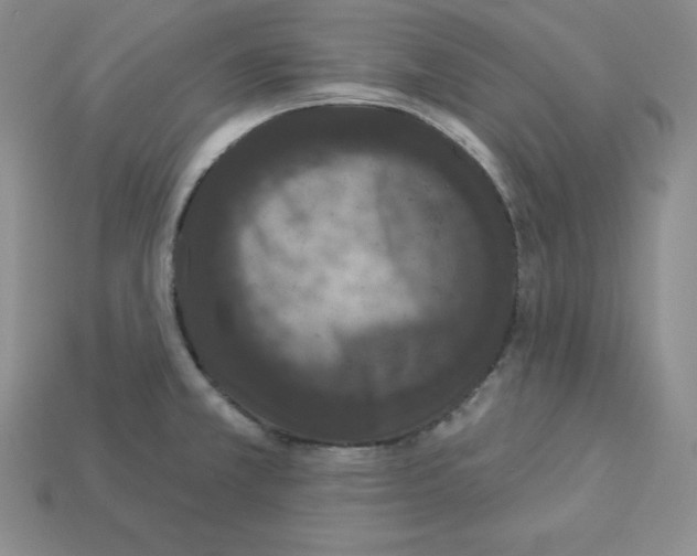 X0000112861381200910021303