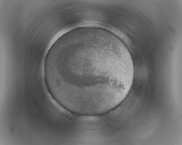 X0000112861382200910021303