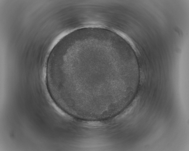 X0000112861383200910021303