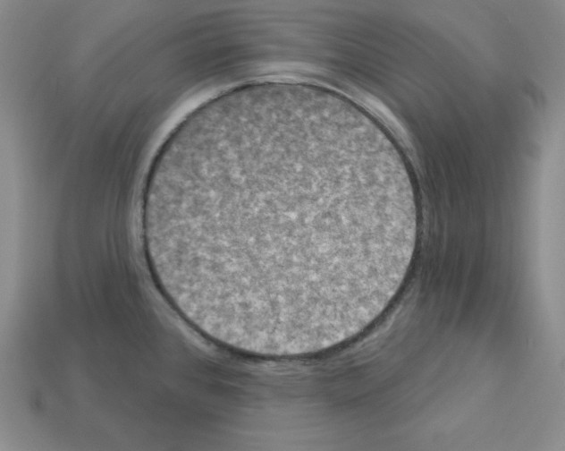 X0000112861384200910021303