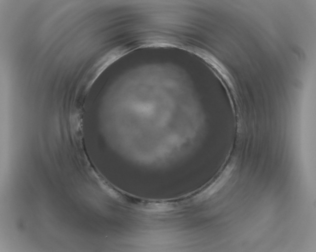 X0000112861385200910021303