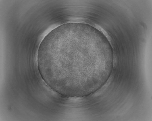 X0000112861386200910021303