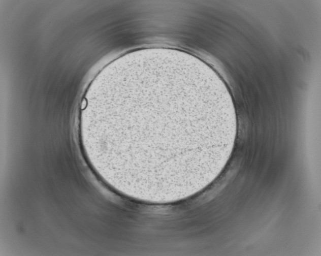 X0000112861387200910021303