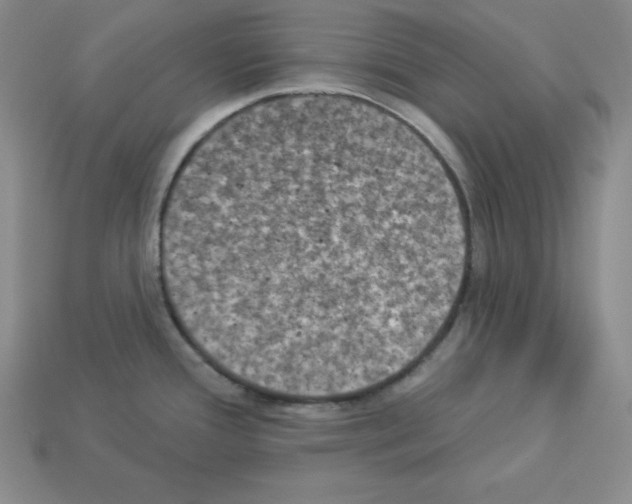X0000112861388200910021303