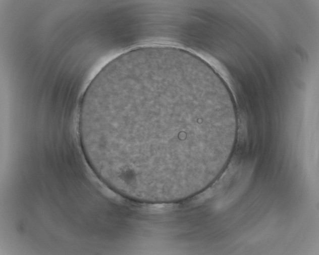 X0000112861390200910021303