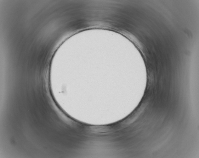 X0000112861391200910021303