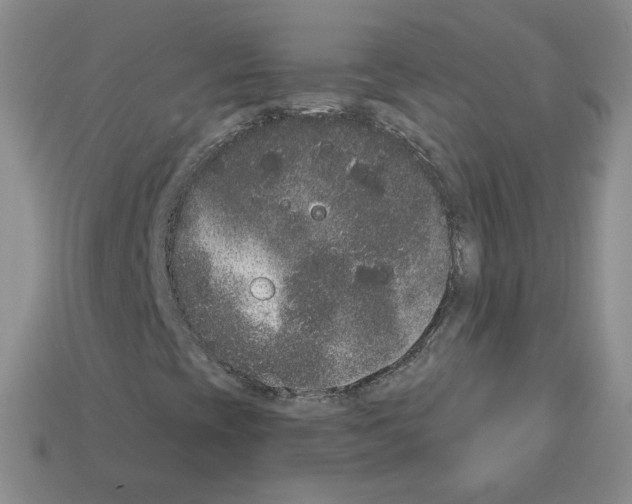 X0000112861393200910021302