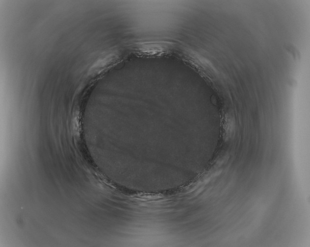 X0000112861394200910021302