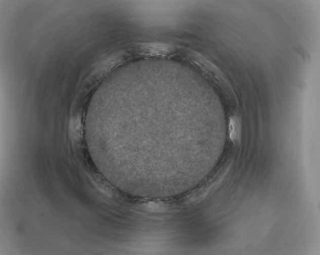 X0000112861395200910021302