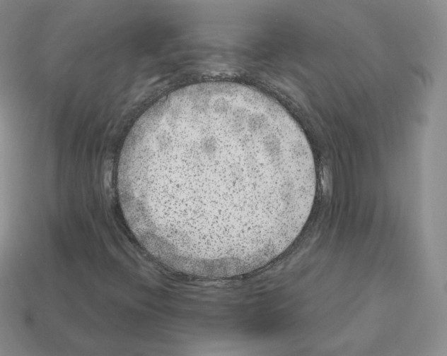 X0000112861396200910021302