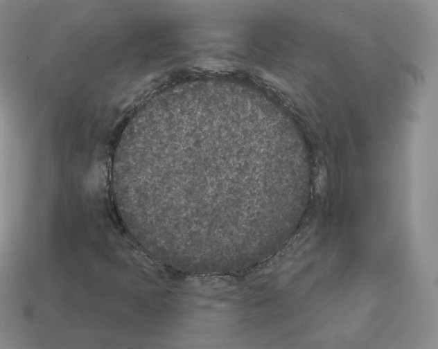 X0000112861397200910021302