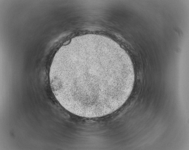 X0000112861398200910021302