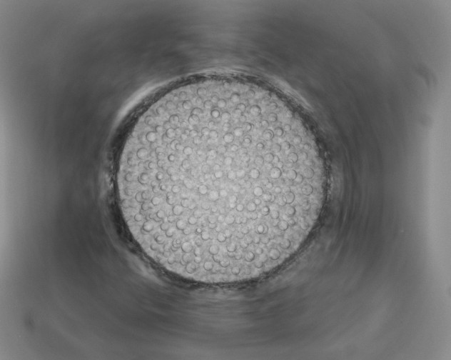 X0000112861400200910021302