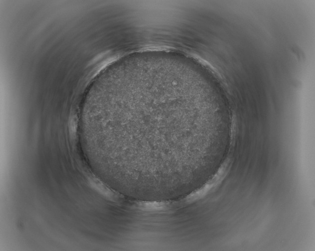 X0000112861401200910021302